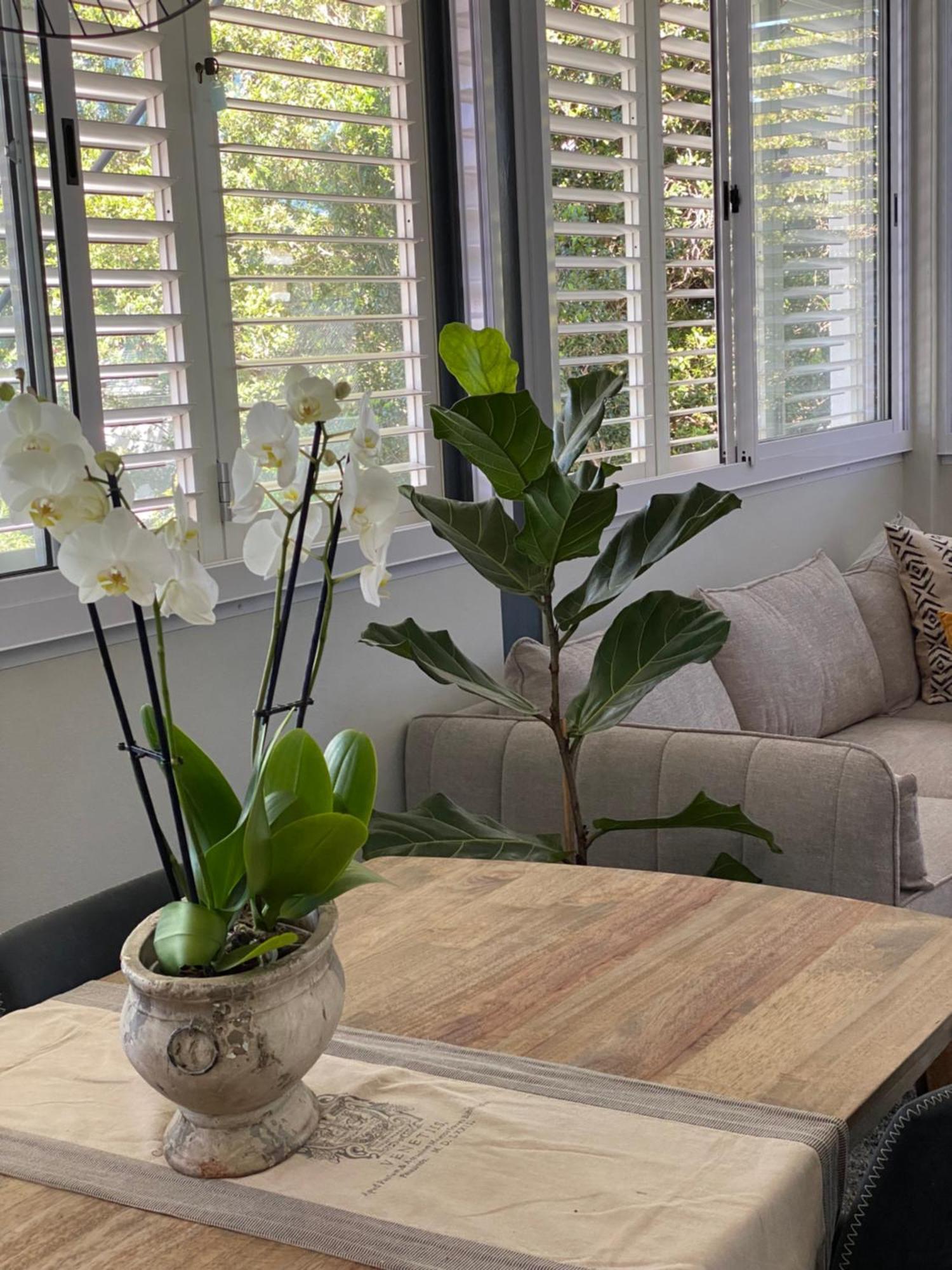 The Oak Suite - 7 On Murray Historic Stellenbosch Bagian luar foto
